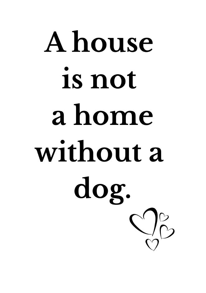 34 Pack Cat Dog Wall Art Printables Funny Pet Quotes and Sayings Instant Download PDF Printable Decor for Cat and Dog Lovers
