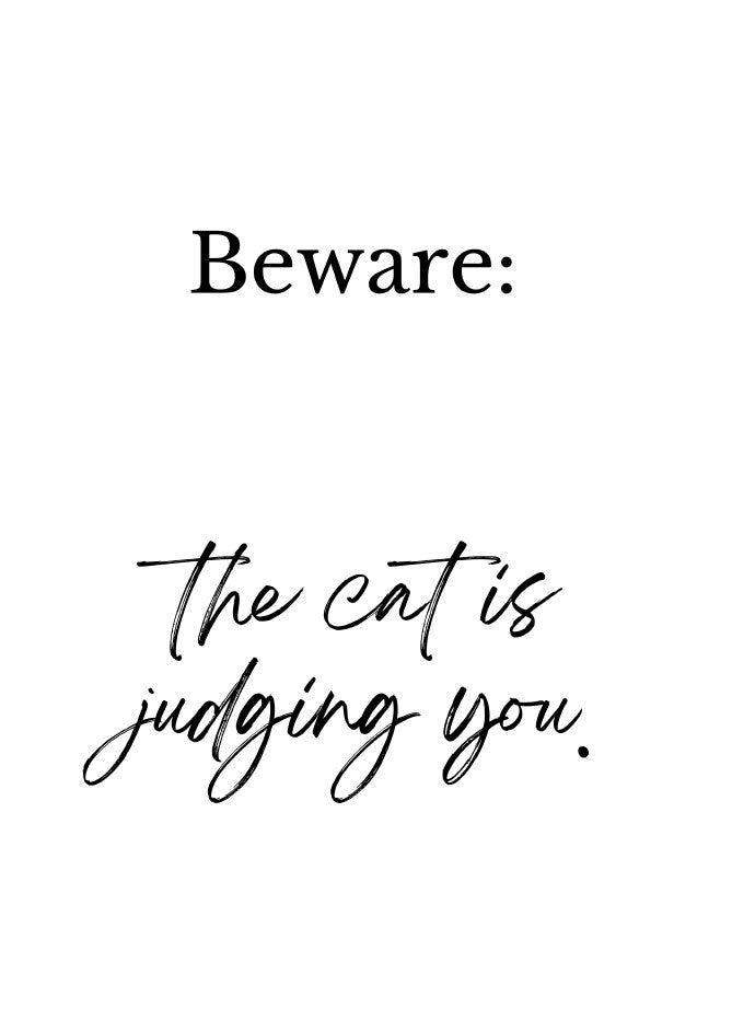 Funny Cat Wall Art Printables – 18 Pack | Instant Download PDF | Cat Sayings & Quotes | Printable Pet Decor for Cat Lovers & Crazy Cat People