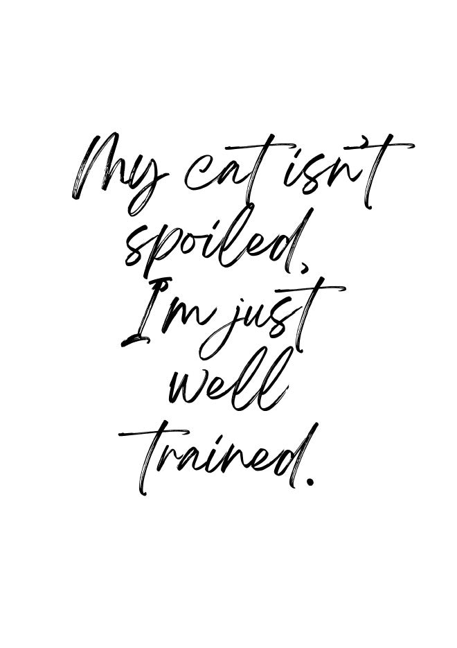 Funny Cat Wall Art Printables – 18 Pack | Instant Download PDF | Cat Sayings & Quotes | Printable Pet Decor for Cat Lovers & Crazy Cat People
