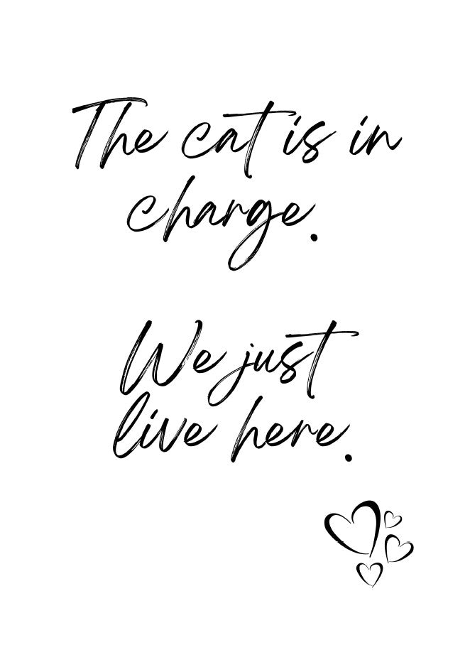 34 Pack Cat Dog Wall Art Printables  Funny Pet Quotes and Sayings Instant Download PDF Printable Decor for Cat and Dog Lovers