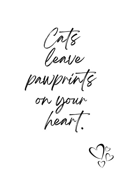 34 Pack Cat Dog Wall Art Printables  Funny Pet Quotes and Sayings Instant Download PDF Printable Decor for Cat and Dog Lovers