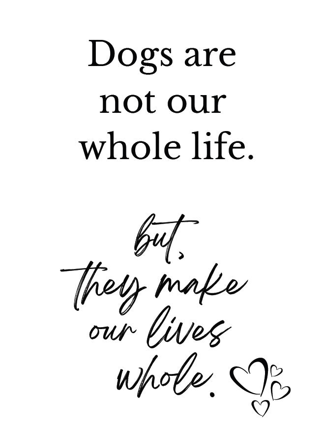 34 Pack Cat Dog Wall Art Printables  Funny Pet Quotes and Sayings Instant Download PDF Printable Decor for Cat and Dog Lovers