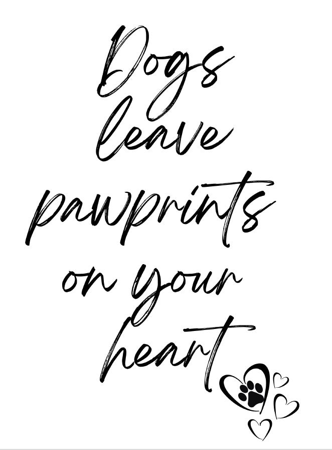 34 Pack Cat Dog Wall Art Printables  Funny Pet Quotes and Sayings Instant Download PDF Printable Decor for Cat and Dog Lovers