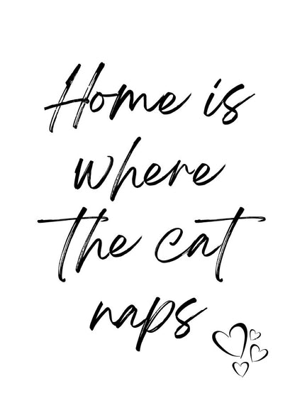 34 Pack Cat Dog Wall Art Printables  Funny Pet Quotes and Sayings Instant Download PDF Printable Decor for Cat and Dog Lovers