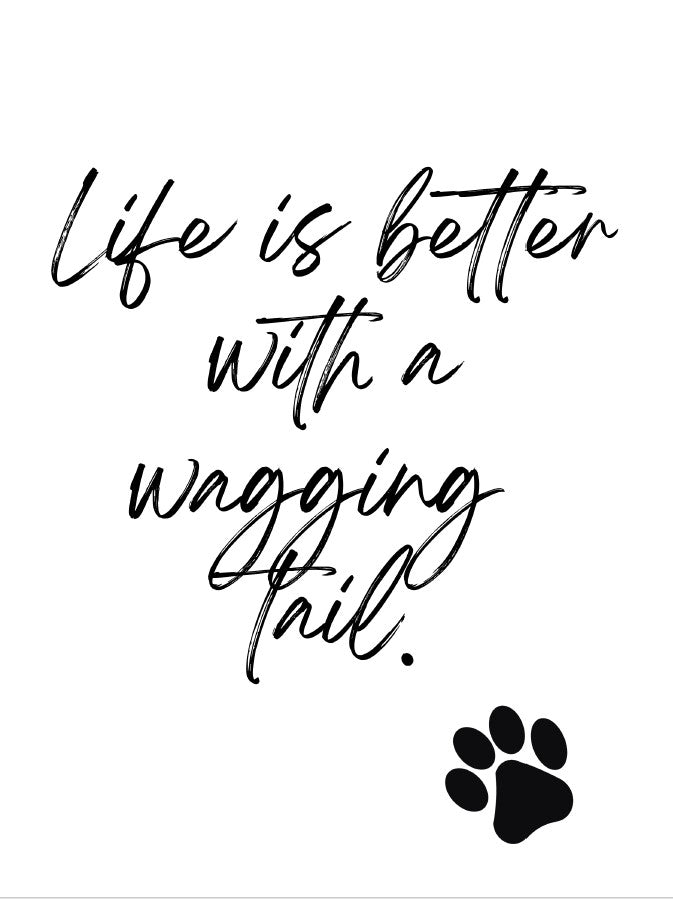 34 Pack Cat Dog Wall Art Printables  Funny Pet Quotes and Sayings Instant Download PDF Printable Decor for Cat and Dog Lovers