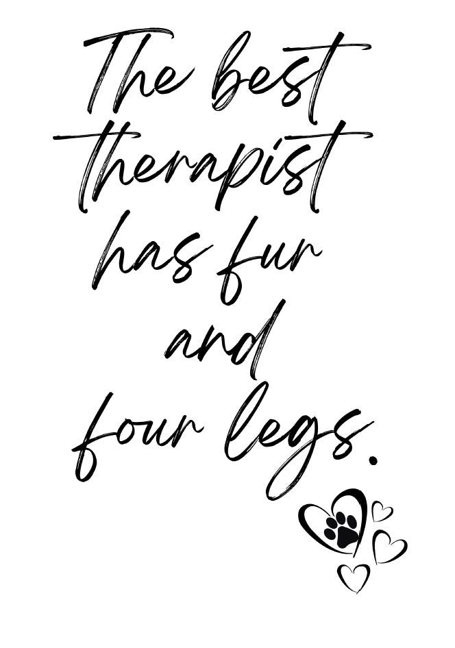 34 Pack Cat Dog Wall Art Printables  Funny Pet Quotes and Sayings Instant Download PDF Printable Decor for Cat and Dog Lovers