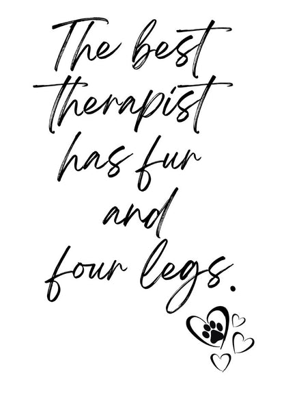 34 Pack Cat Dog Wall Art Printables  Funny Pet Quotes and Sayings Instant Download PDF Printable Decor for Cat and Dog Lovers